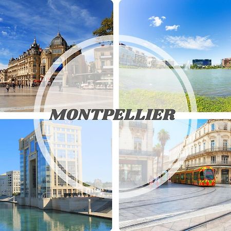 Le Calderini Appart - Face Plage Wifi Et Park Gratuit Calme - Resid Le Surcouf -Top Pros Servicesconciergerie La Grande Motte エクステリア 写真